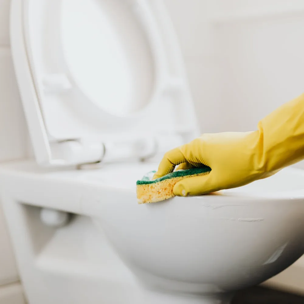 Deep Clean Your Toilet for Ultimate Freshness