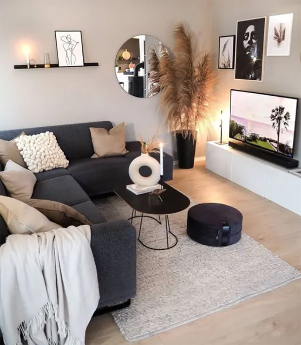 Apartment Small Living Room Ideas With TV