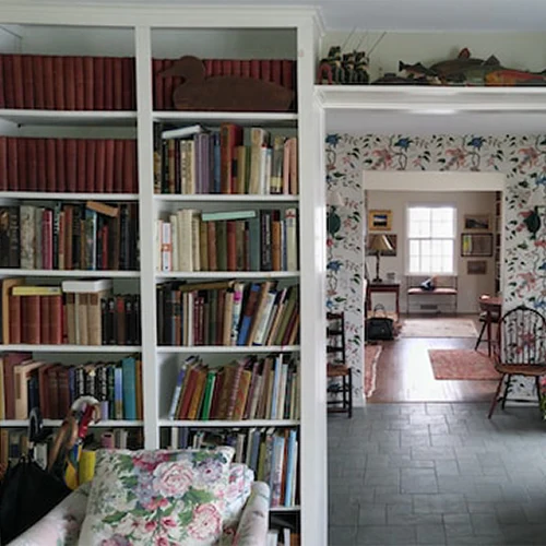 Hide behind aesthetic room divider bookshelves