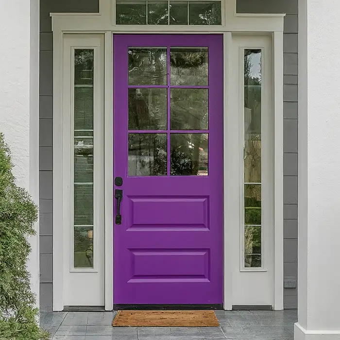 Purple Door for Gray House