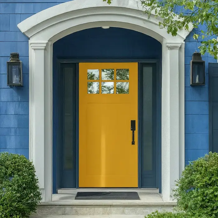 Rich Golden Mustard Front Door