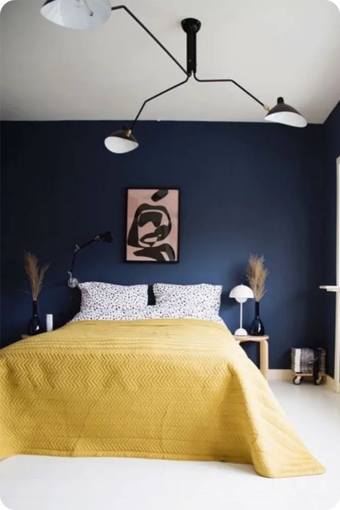 Mustard Yellow and Navy Blue Combination