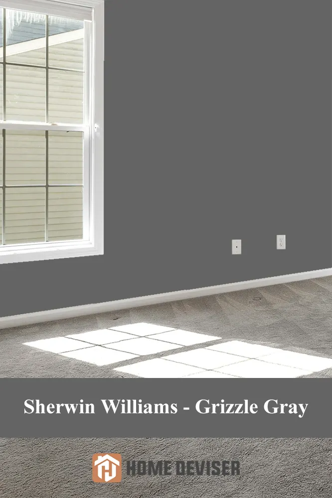 Sherwin Williams - Grizzle Gray