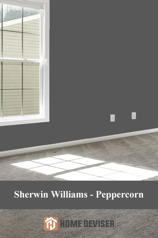 Sherwin Williams - Peppercorn