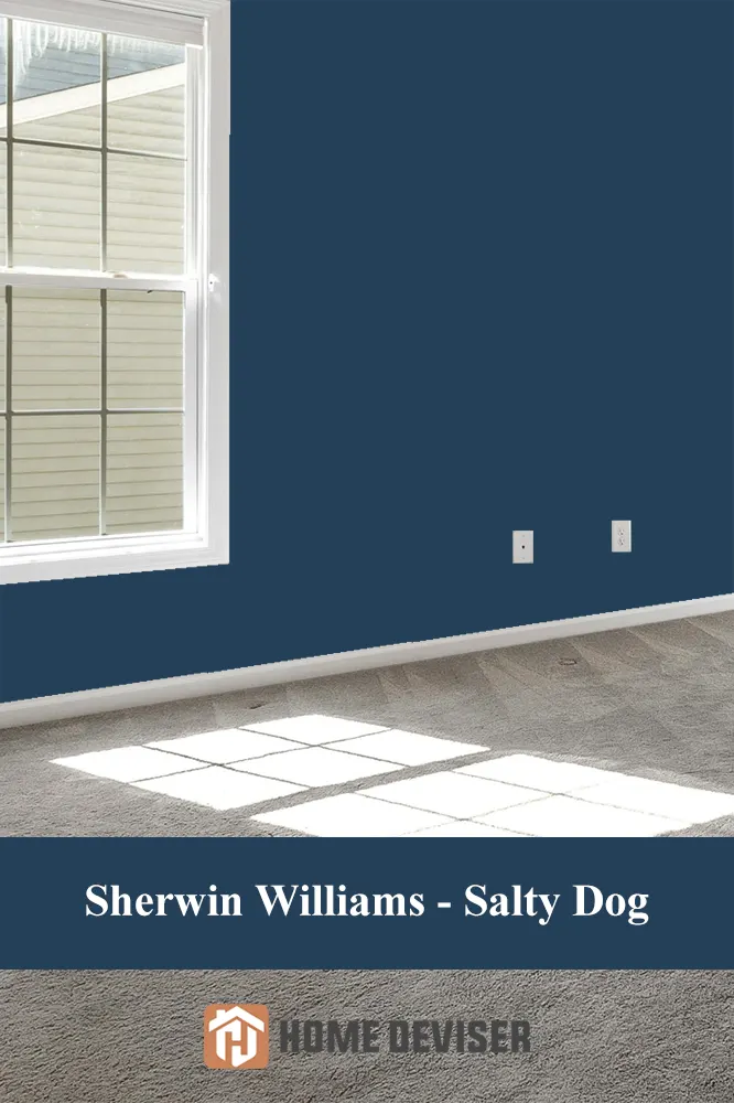 Sherwin Williams - Salty Dog