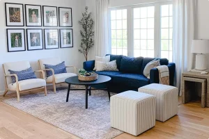 Blue Couch Living Room Ideas