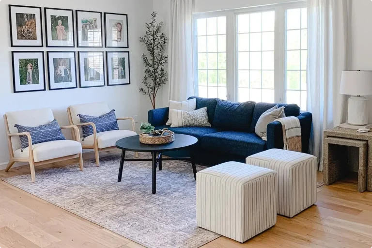 Blue Couch Living Room Ideas