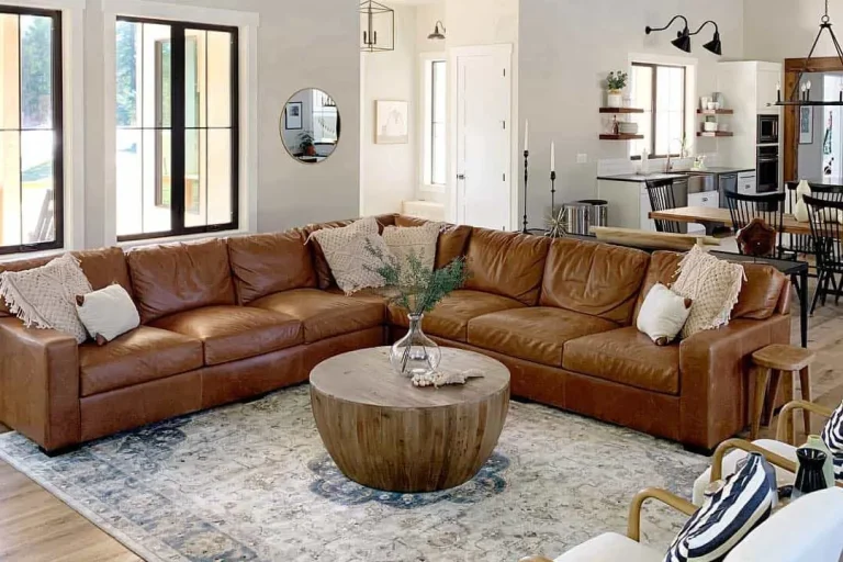 Brown Couch Living Room Ideas