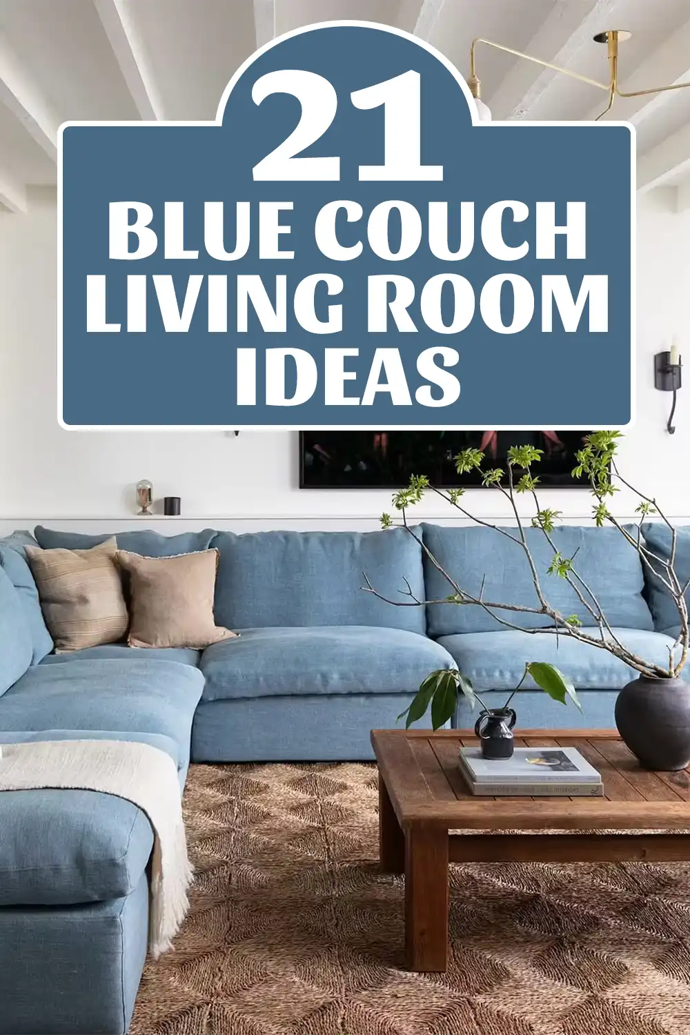 Blue Couch Living Room Ideas