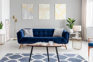 Navy Blue Couch Living Room Ideas