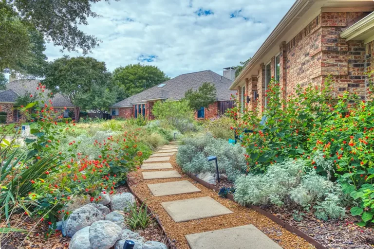 Front Yard Texas Native Landscaping Ideas