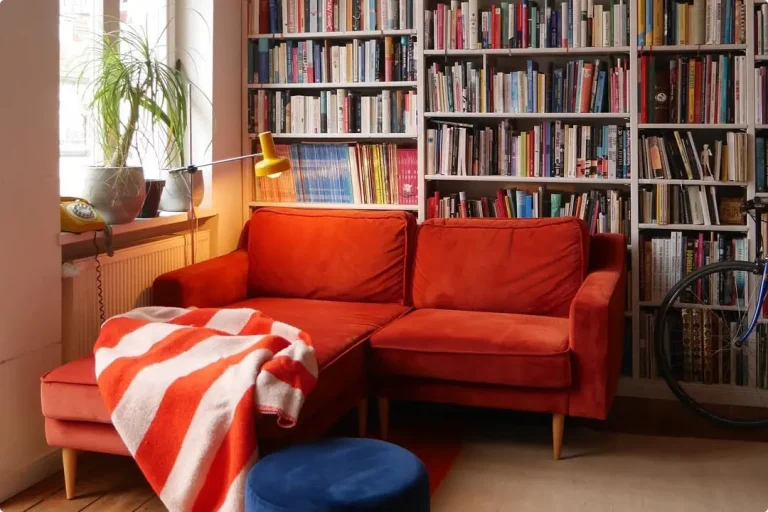 Red Couch Living Room Ideas