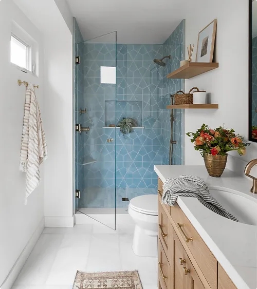 Walk-in Shower Tile Ideas