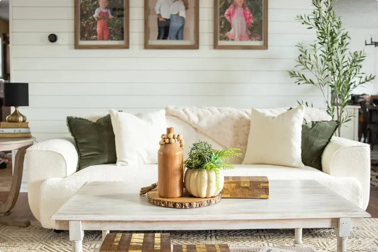 White Couch Living Room Ideas