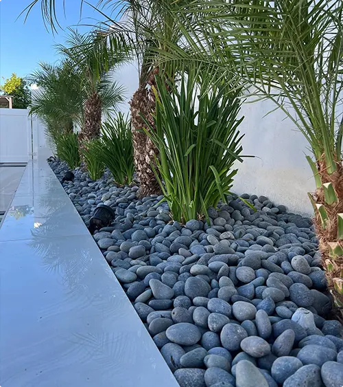 Black Rock Landscaping Ideas