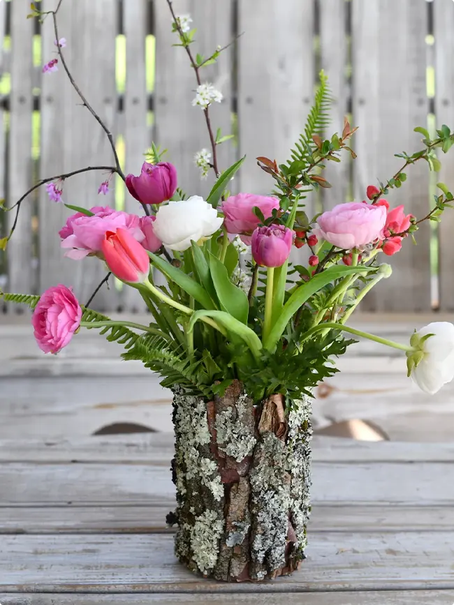 Tree Bark Decor Ideas