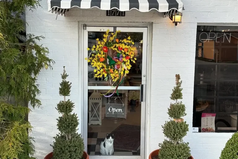 Spring Floral Wreath Ideas