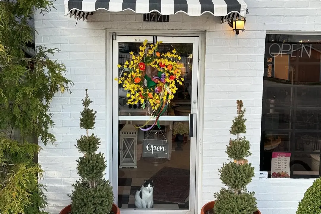 Spring Floral Wreath Ideas