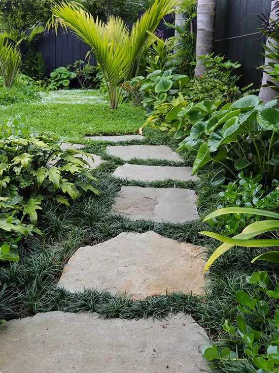 Garden Walkway Ideas
