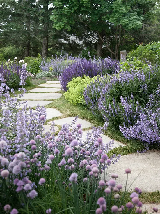 Stone Walkway Ideas