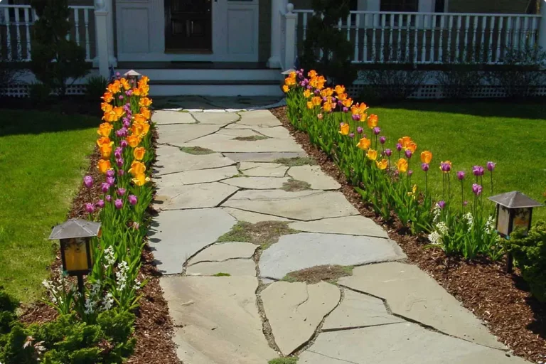 Stone Walkway Ideas