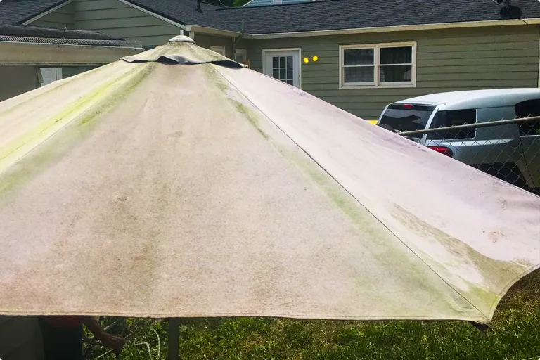 Why Is My Patio Umbrella Moldy