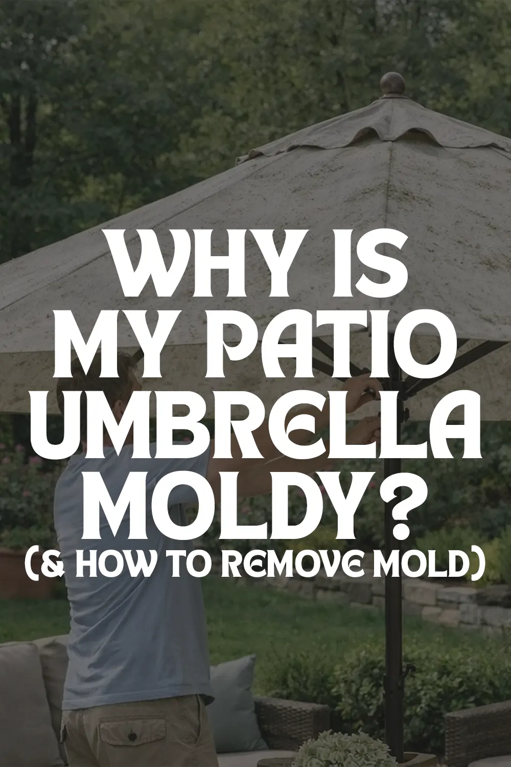 Why Is My Patio Umbrella Moldy