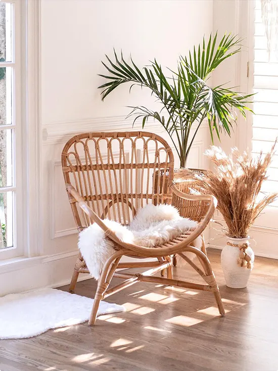 Rattan Chair Design Ideas