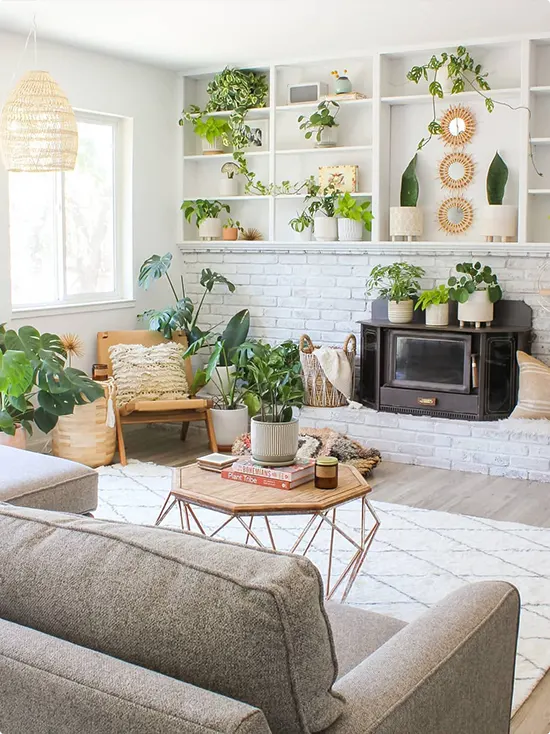 How to Decorate With Plants