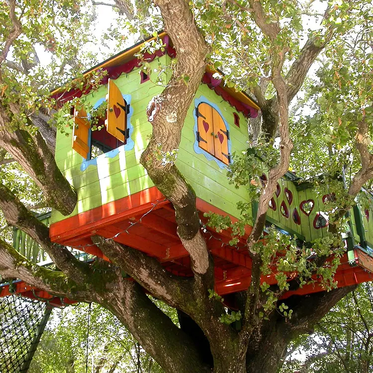 Backyard Play Areas