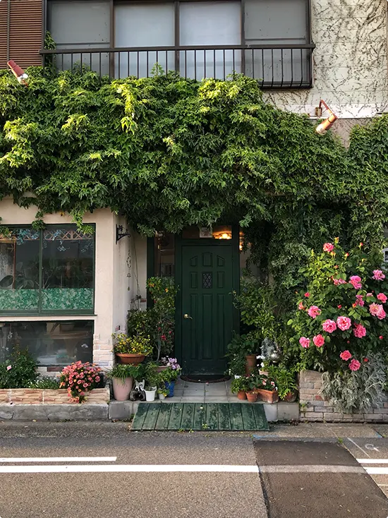 Dark Green Front Door Ideas