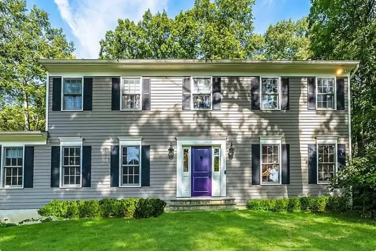 Dark Purple Front Door Ideas
