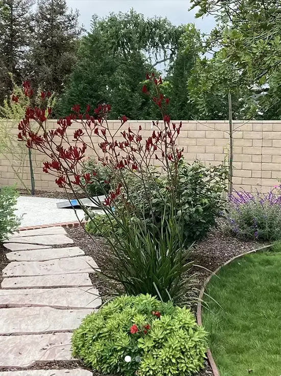 Lawn Edging Ideas