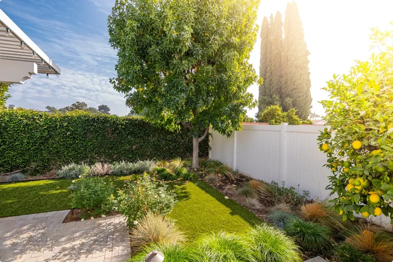Lawn Edging Ideas