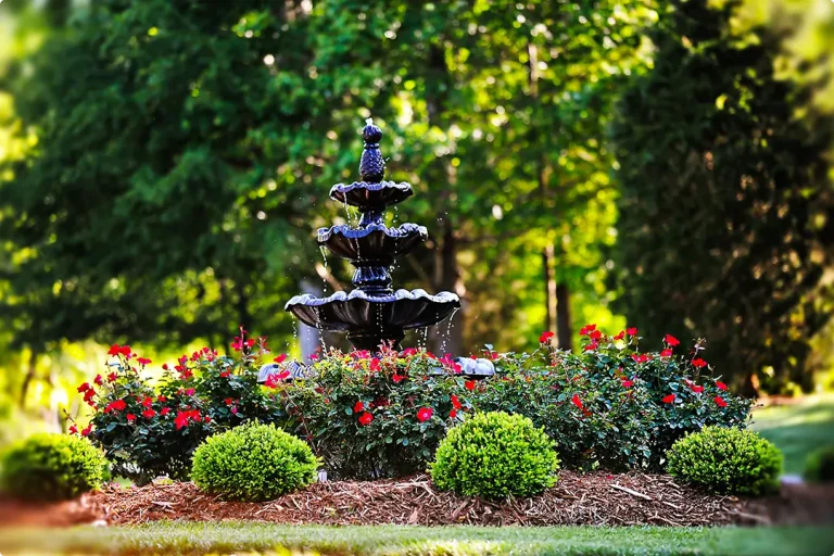 Water Fountain Landscaping Ideas