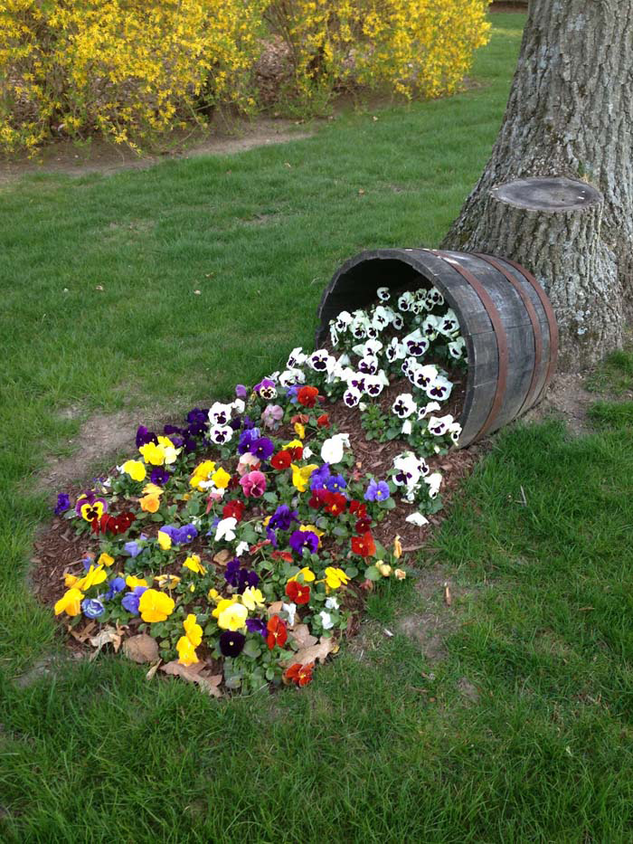 Cheap Simple Front Yard Landscaping Ideas