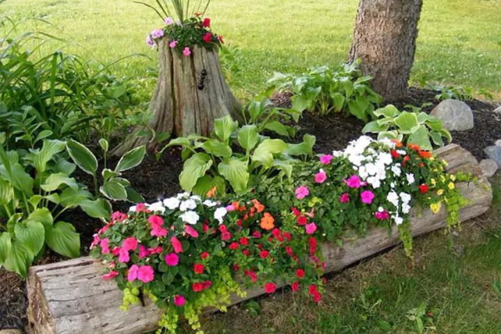 Cheap Simple Front Yard Landscaping Ideas