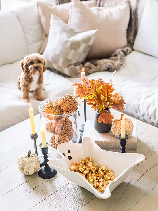 Halloween Coffee Table Decor Ideas