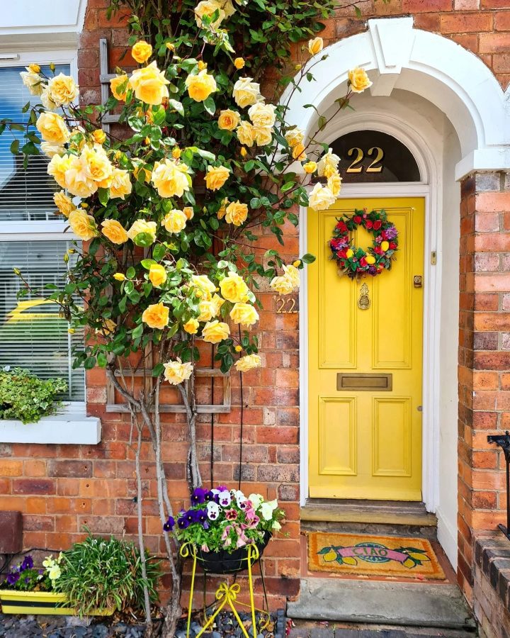 Yellow Front Door Ideas