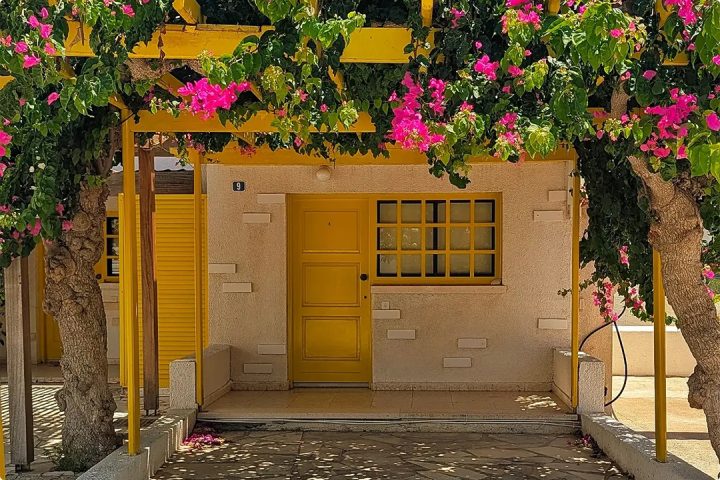 Yellow Front Door Ideas