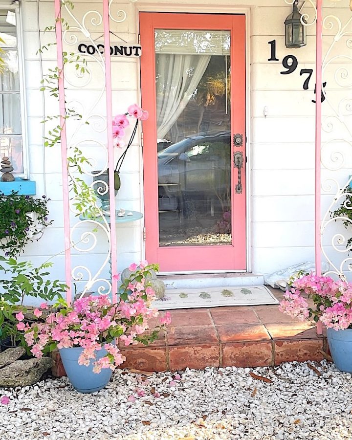 Pink Front Door Ideas
