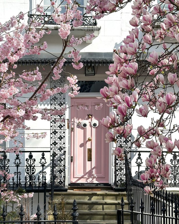 Pink Front Door Ideas